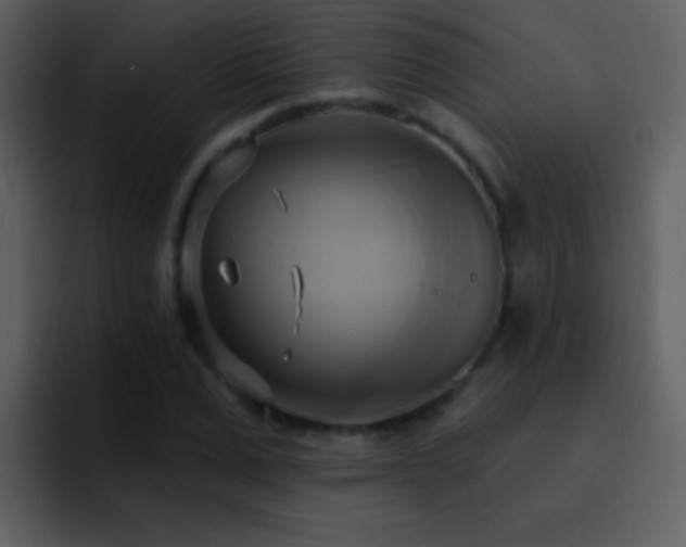 X0000095680975200801081225