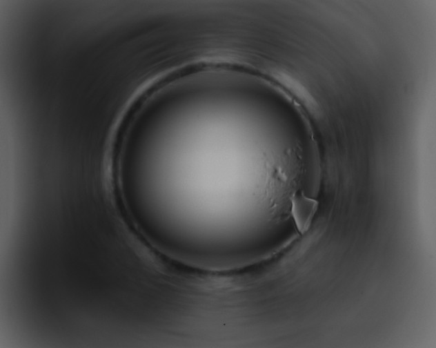 X0000095680976200801081225