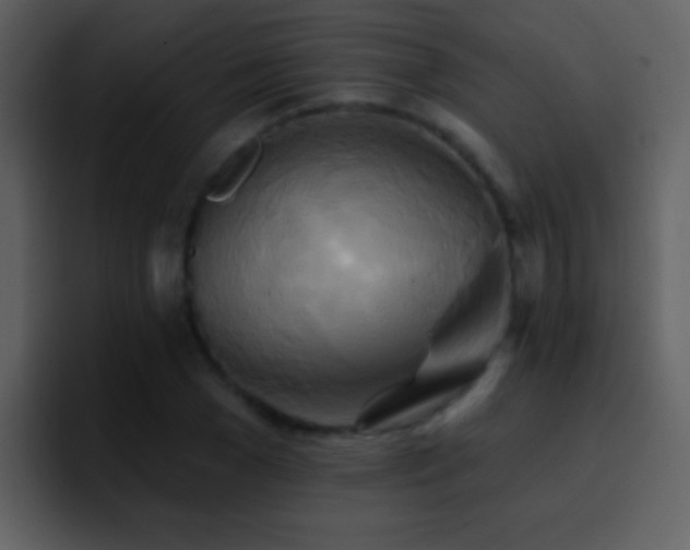 X0000095680977200801081225
