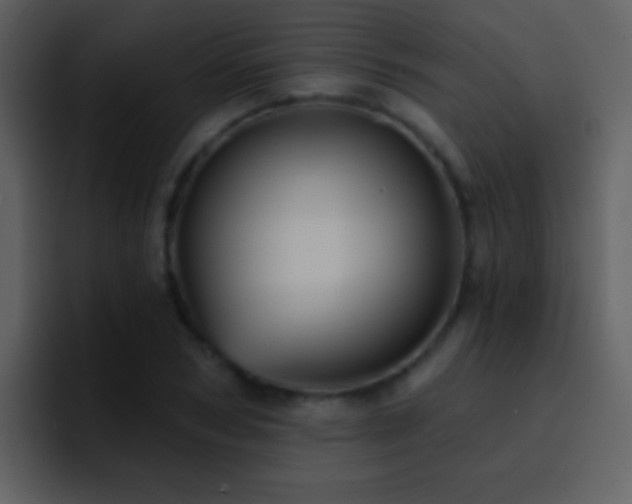 X0000095680978200801081225