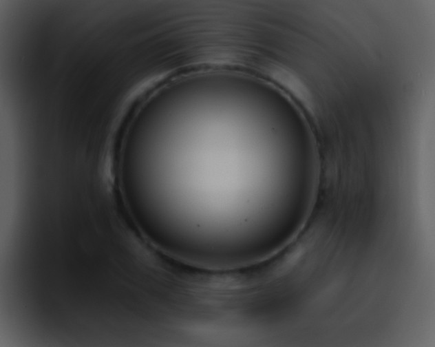 X0000095680979200801081225