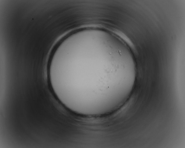X0000095680980200801081225
