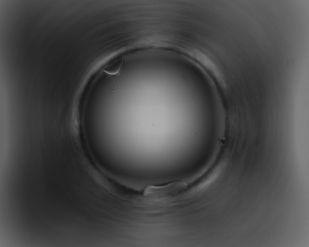 X0000095680981200801081225