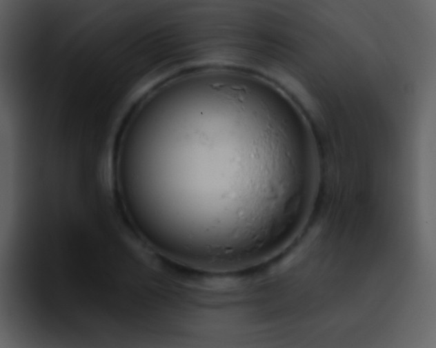 X0000095680982200801081225