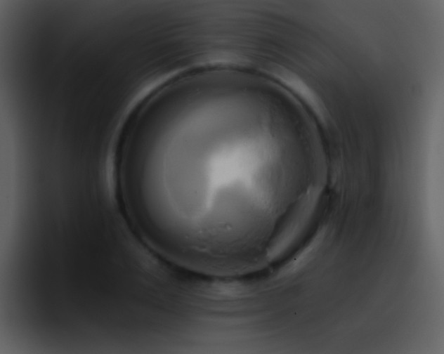 X0000095680983200801081225