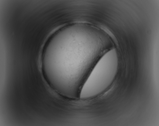 X0000095680984200801081225