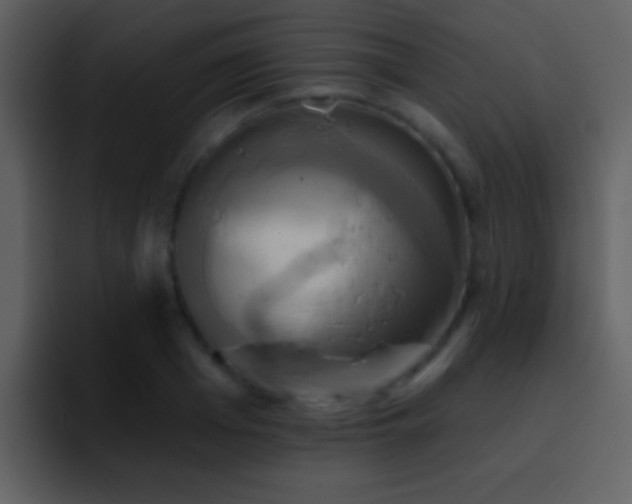 X0000095680985200801081225