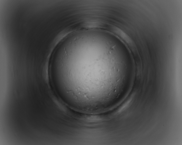X0000095680986200801081225