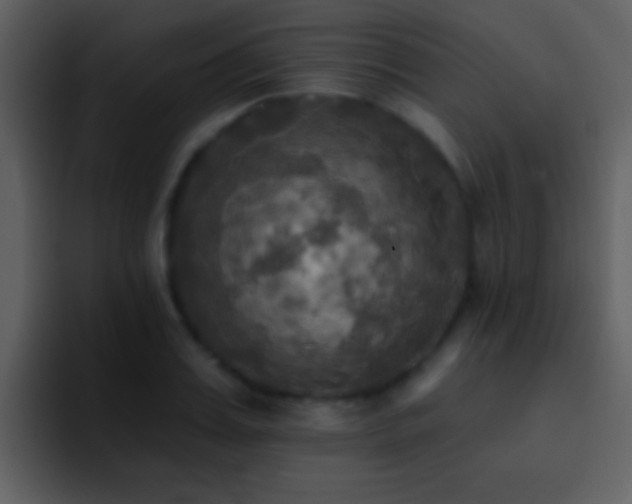 X0000095680987200801081225
