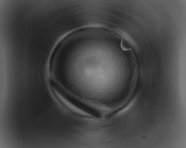 X0000095680988200801081225