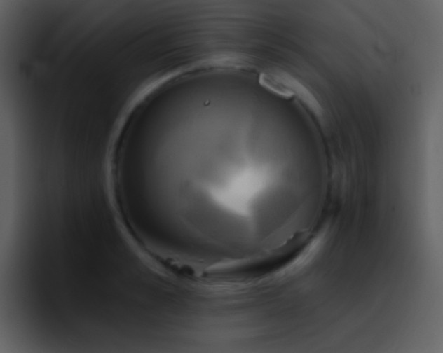 X0000095680989200801081225