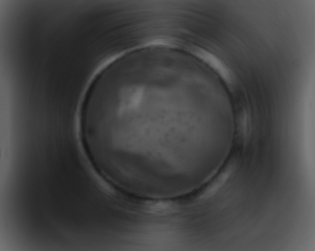 X0000095680991200801081225