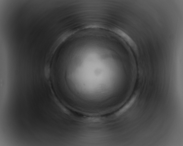 X0000095680993200801081225