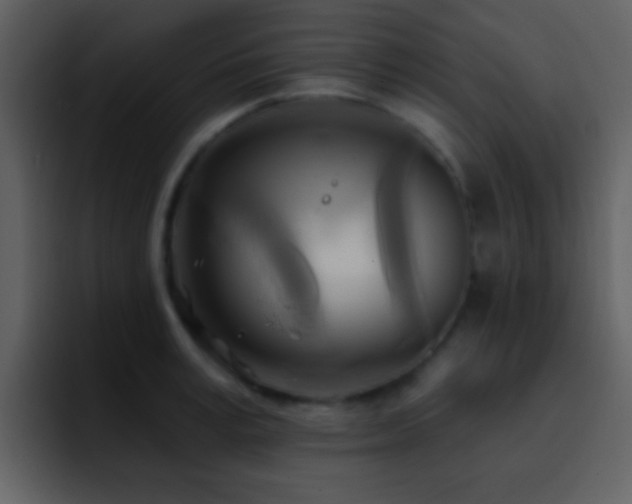 X0000095680995200801081225