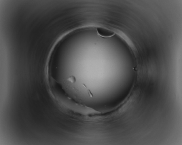 X0000095680996200801081225