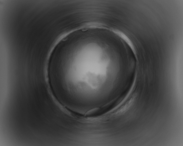 X0000095680997200801081225