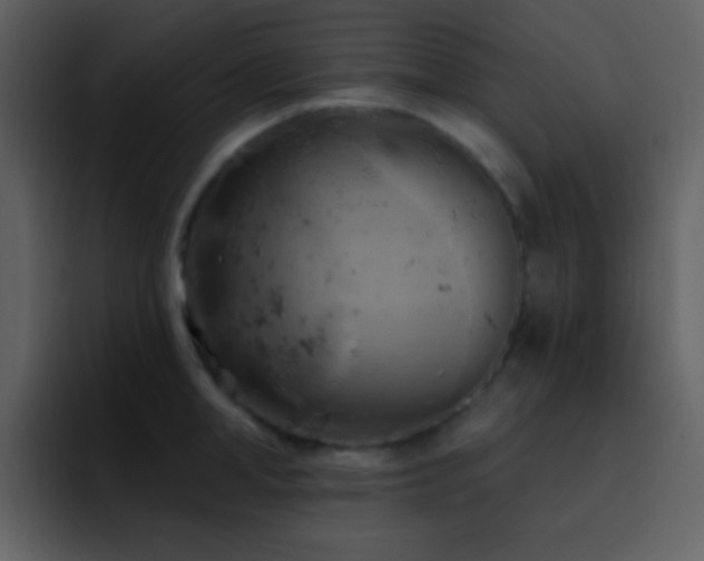 X0000095680998200801081225
