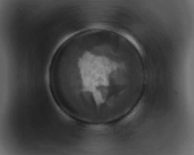 X0000095680999200801081225