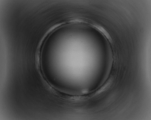 X0000095681000200801081225