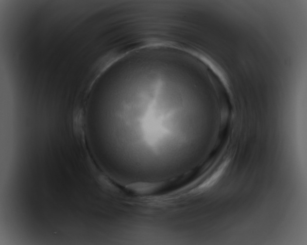 X0000095681001200801081225
