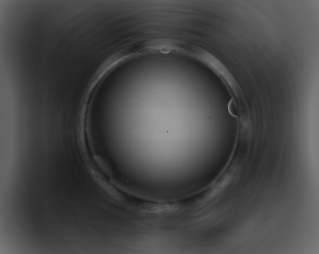 X0000095681002200801081225