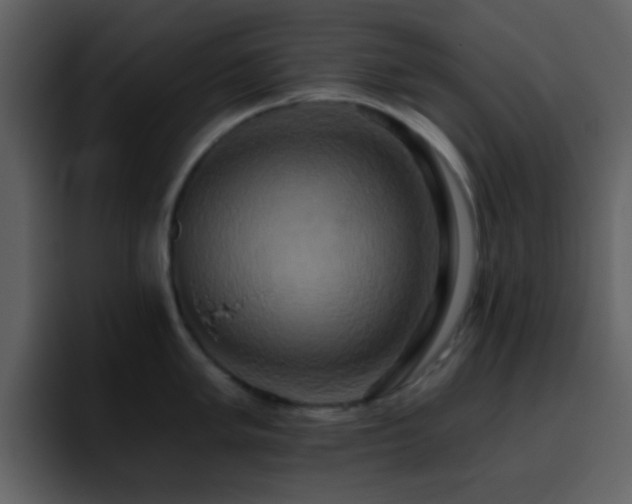 X0000095681005200801081225