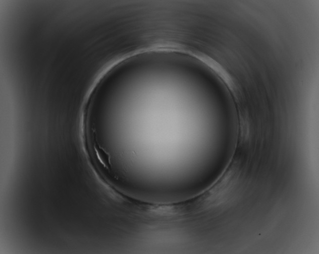X0000095681006200801081225
