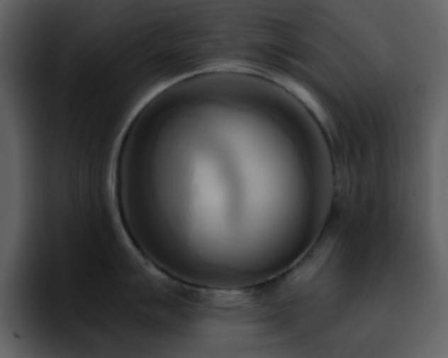 X0000095681007200801081225