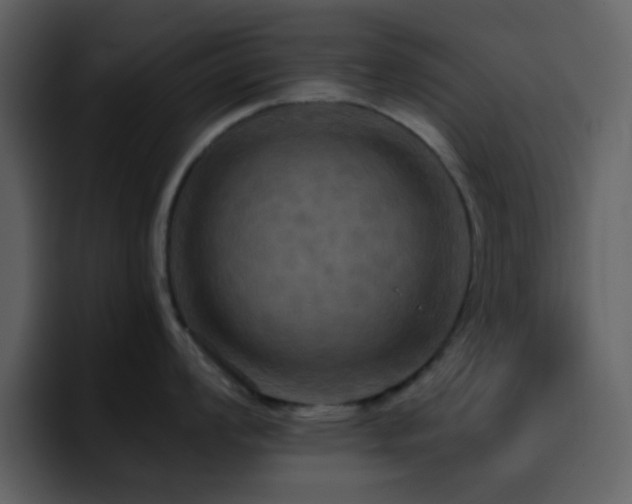 X0000095681008200801081225