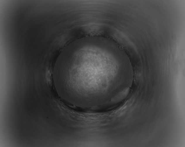 X0000095681010200801081224