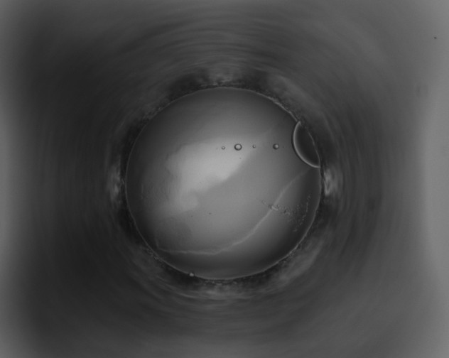 X0000095681011200801081224