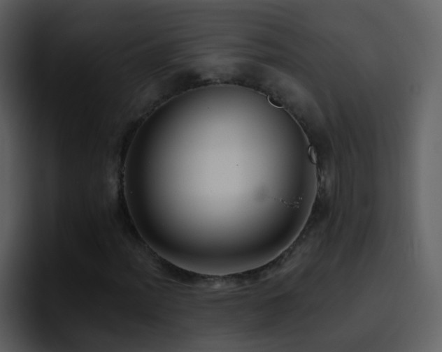 X0000095681012200801081224