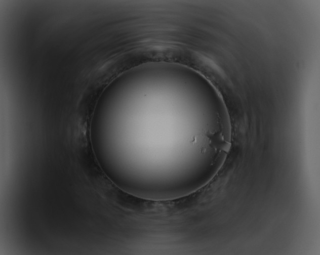 X0000095681013200801081224