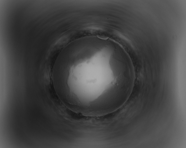 X0000095681014200801081224