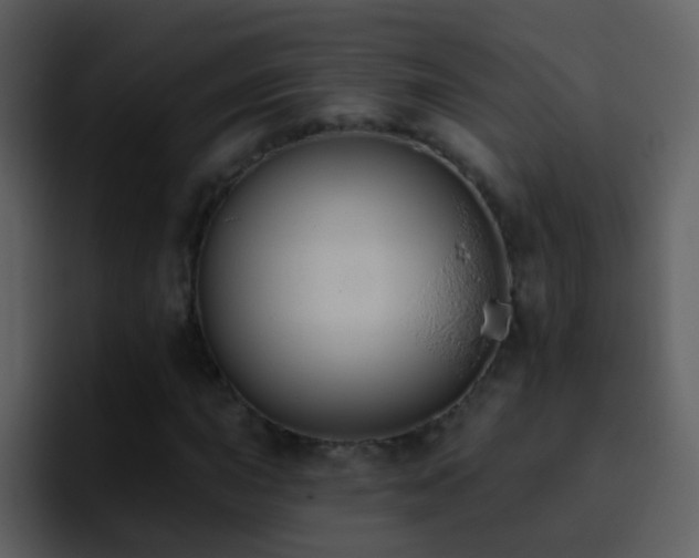 X0000095681015200801081224