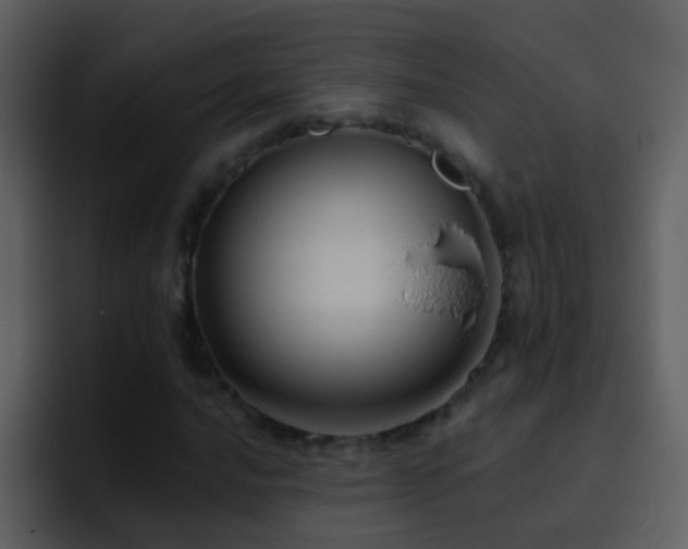 X0000095681016200801081224