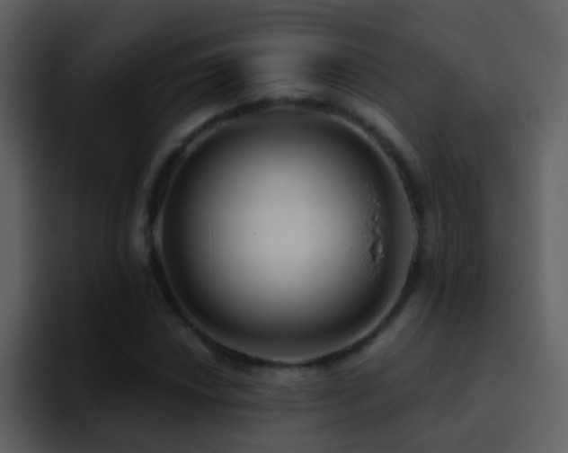 X0000095681018200801081224