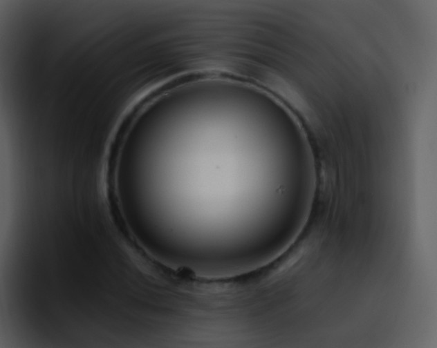 X0000095681020200801081224