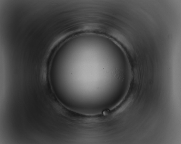 X0000095681021200801081224