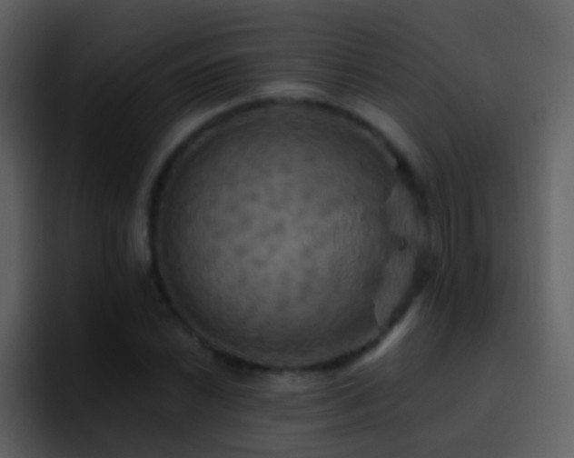 X0000095681022200801081224