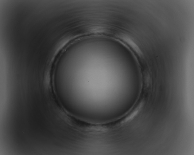 X0000095681023200801081224
