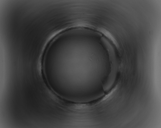 X0000095681024200801081224