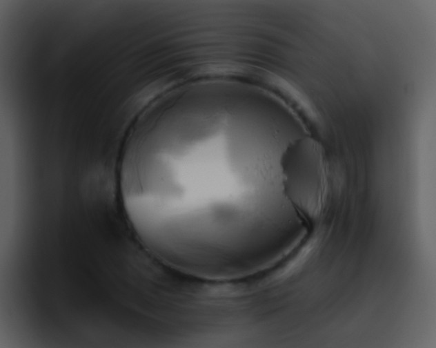 X0000095681025200801081224