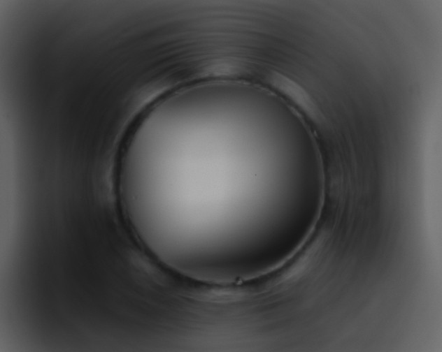 X0000095681026200801081224
