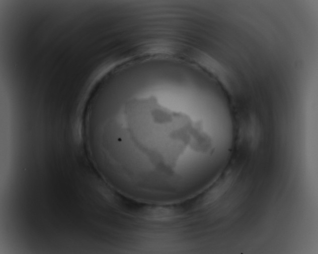 X0000095681027200801081225