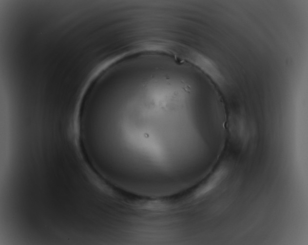 X0000095681028200801081225