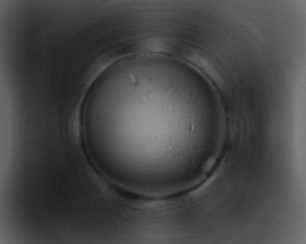 X0000095681031200801081225
