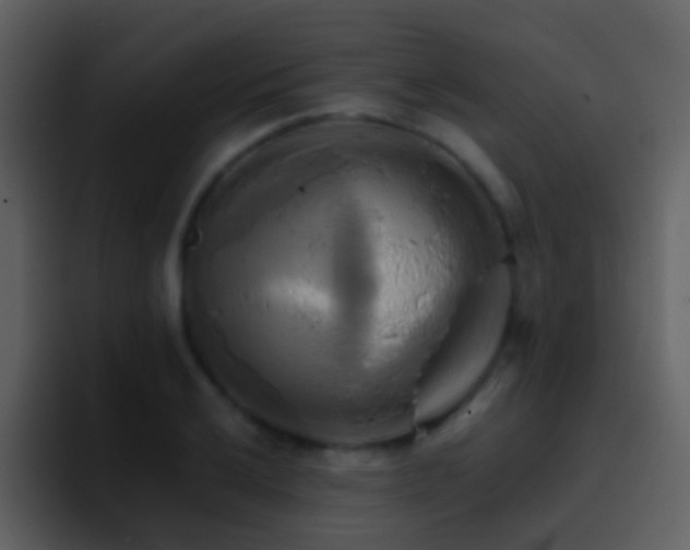 X0000095681032200801081225