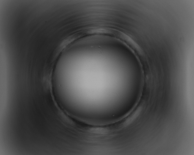 X0000095681033200801081225