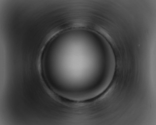 X0000095681034200801081225
